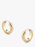 Tutti gold plated textured huggie hoop earrings, UK version