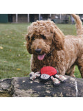 Beco Pets red spider dog toy - British product