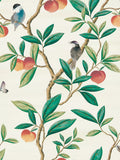 Harlequin x Diane Hill Ella wallpaper with birds and fruits chinoiserie pattern, UK version