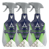 Mould and Mildew Stain Remover Multi-Surface Spray 3 x 750ml