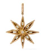 Harrods Annoushka Yellow Gold and Diamond Mythology Star Anise Charm Pendant- Buy online at McGrocer