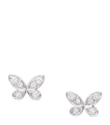 Harrods Graff White Gold and Diamond Butterfly Stud Earrings- Buy online at McGrocer