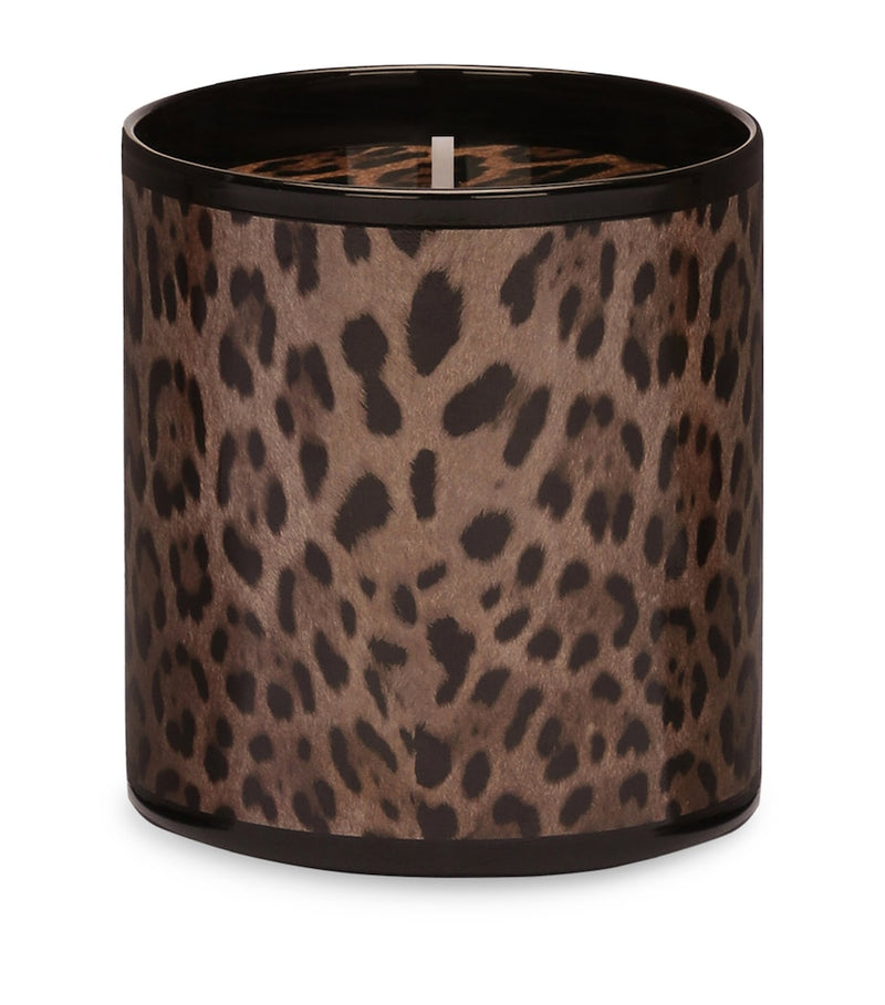 Dolce&Gabbana Casa Leopardo Patchouli Candle 380g - British product