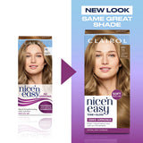 Clairol Nice'N Easy Tone+Gloss Medium Ash Blonde hair dye, imported from the UK