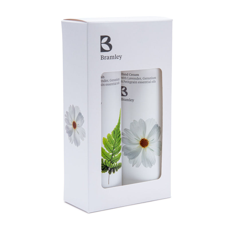 Bramley Ivy hand wash and cream gift set, 2 x 250ml (British brand)