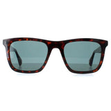 Ted Baker Filipe brown men sunglasses TB1680, imported from the UK