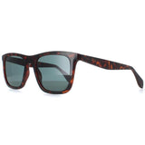 Ted Baker Filipe brown men sunglasses TB1680, imported from the UK