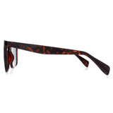Ted Baker Filipe brown men sunglasses TB1680, imported from the UK