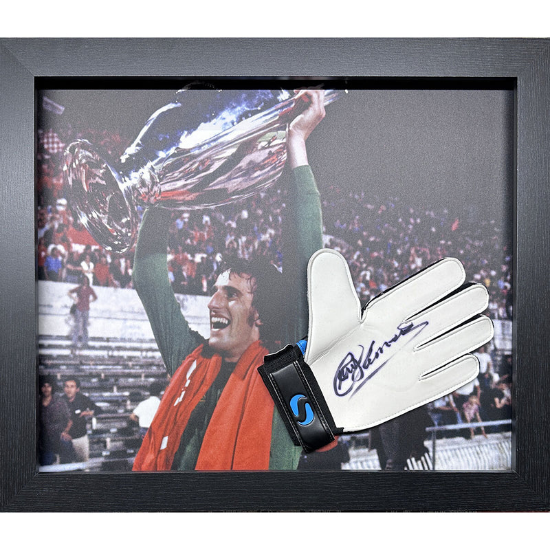 Ray Clemence signed Nike goalkeeper glove in frame (British brand)