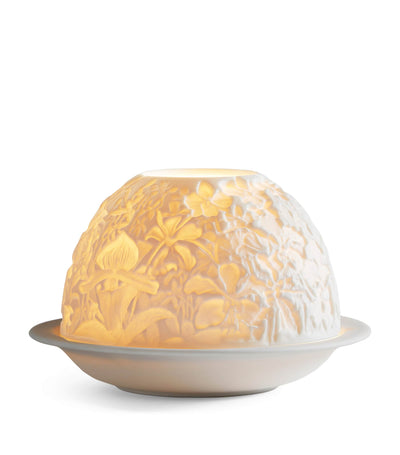 Harrods Bernardaud Orchids LED Votivelight Lithophane- Buy online at McGrocer