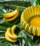 Bordallo Pinheiro banana box 19.5cm (British brand)
