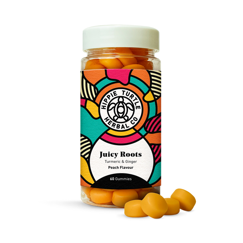 Hippie Turtle turmeric ginger gummies 60 count - British product