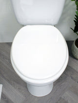Next Showerdrape White Norfolk Soft Close Wood-Effect Toilet Seat- Buy online at McGrocer