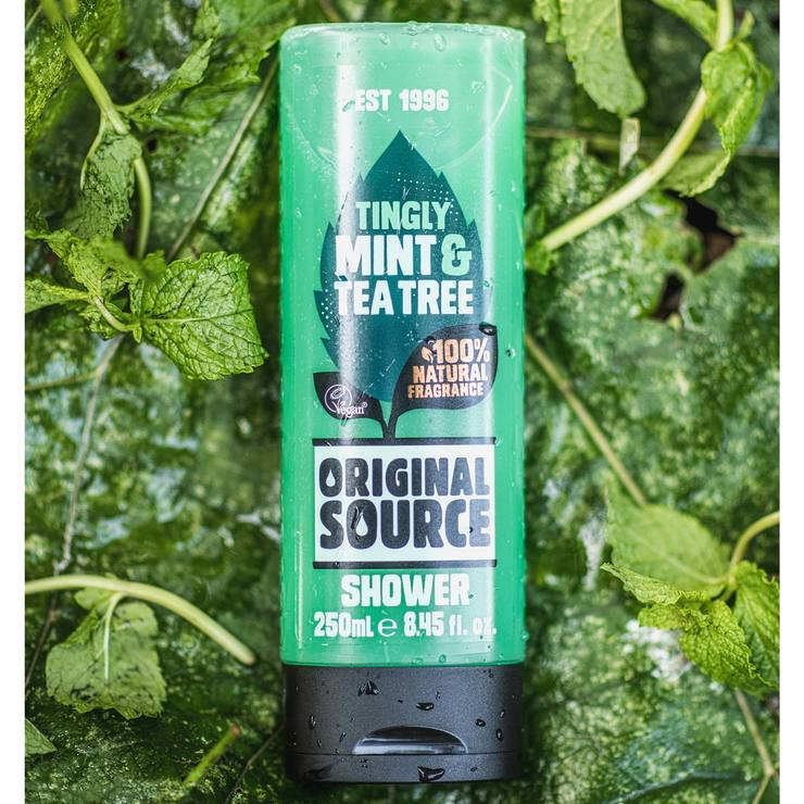 Original Source Mint and Tea Tree Shower Gel 6x250ml (British brand)