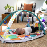 Baby Einstein Music & Language activity gym, UK version
