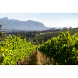 Journey's End Spekboom Sauvignon Blanc white wine 75cl (British brand)