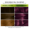 Garnier Nutrisse Ultra Colour 4.26 Intense Permanent Hair Dye