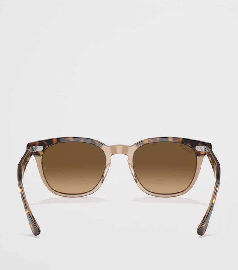 Ray-Ban Hawkeye sunglasses with acetate frame (British brand)
