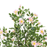Livingandhome artificial frangipani tree 160cm pink flower, UK version