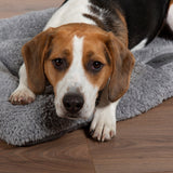 Scruffs grey dog crate mat medium (British brand)