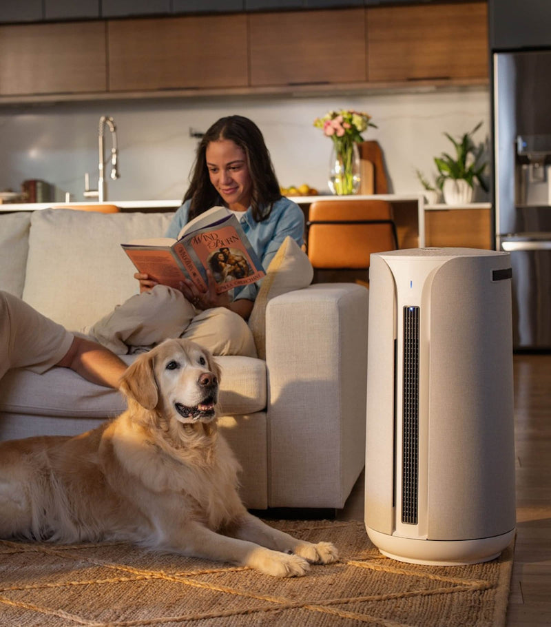 Blueair ComfortPure 3-in-1 T20i air purifier (British brand)