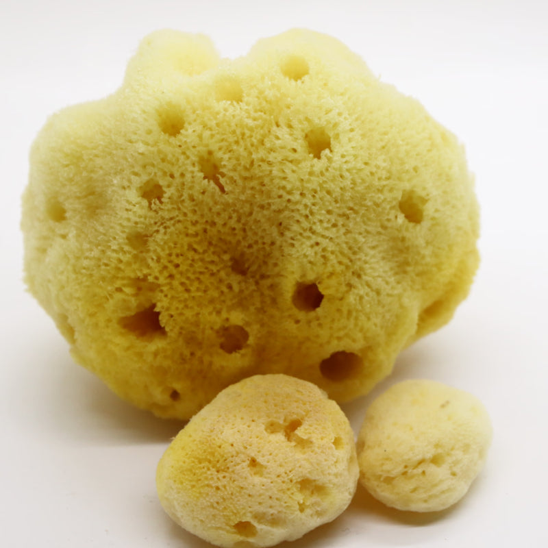 SpongeBox PureSilk baby bath sponge 4-4.5 inches - British product