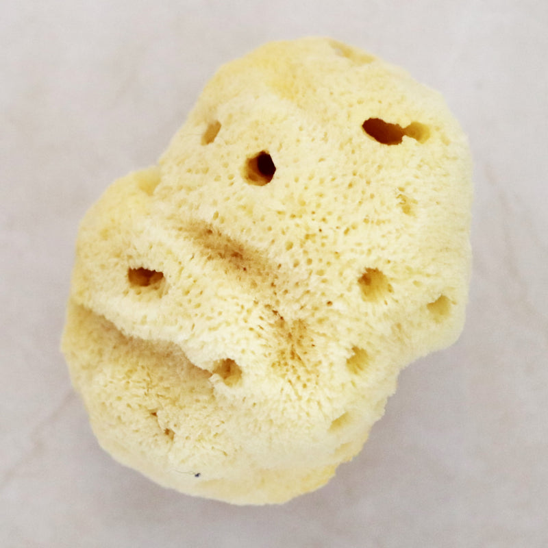 SpongeBox PureSilk baby bath sponge 4-4.5 inches - British product