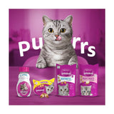 Whiskas Temptations Adult Cat Treat Biscuits with Chicken & Cheese 60g GOODS M&S