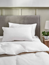 Next 2 Pack Medium Duck Feather and Down Bed Pillows- Buy online at McGrocer