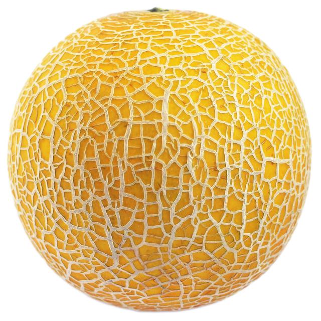 Wholegood Organic Galia Melon GOODS M&S