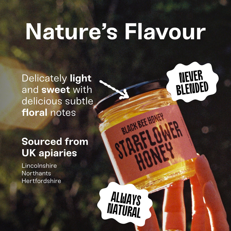 Black Bee Starflower honey 227g glass jar - British product