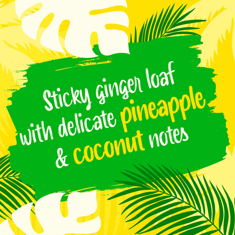 McVitie's Jamaica ginger pineapple coconut sticky pudding cake (British brand)