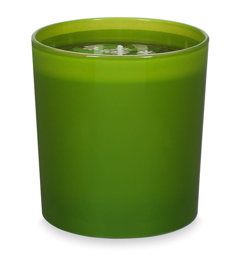 Dolce&Gabbana Arancio di Sicilia scented candle 250g, UK version