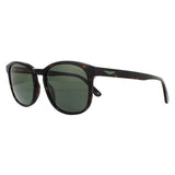 Police SPL997 origins lite sunglasses in shiny Havana green, imported from the UK