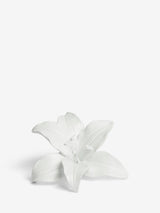 Next White Lily Flower Ornament Resin Sculpture 10cm- Buy online at McGrocer