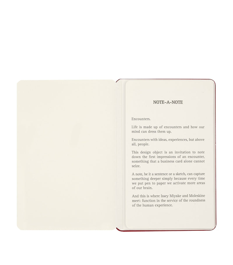 Moleskine Miyake Design Studio business card holder, imported from the UK