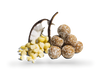 Ballsy Coconut Macadamia protein balls case of 10 - British product