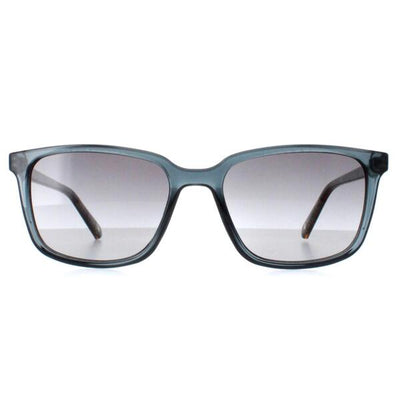 Superdrug Ted Baker TB1529 Farley Blue Gradient Sunglasses- Buy online at McGrocer