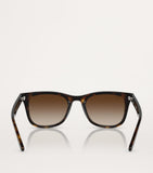 Ray-Ban Injected RB4420 sunglasses, imported from the UK