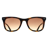 Ray-Ban RB4420 brown gradient unisex sunglasses - British product