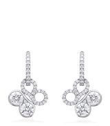 Harrods Boodles White Gold and Diamond Be Boodles Earrings- Buy online at McGrocer