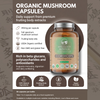Mycology Nutrition cordyceps capsules 450mg 90 capsules (British brand)