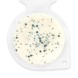 Sassy Scents Coconut Sunshine Wax Melt 50g (British brand)
