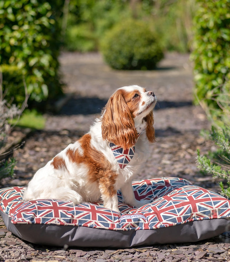 Mutts And Hounds Union Jack pillow dog bed medium (British brand)