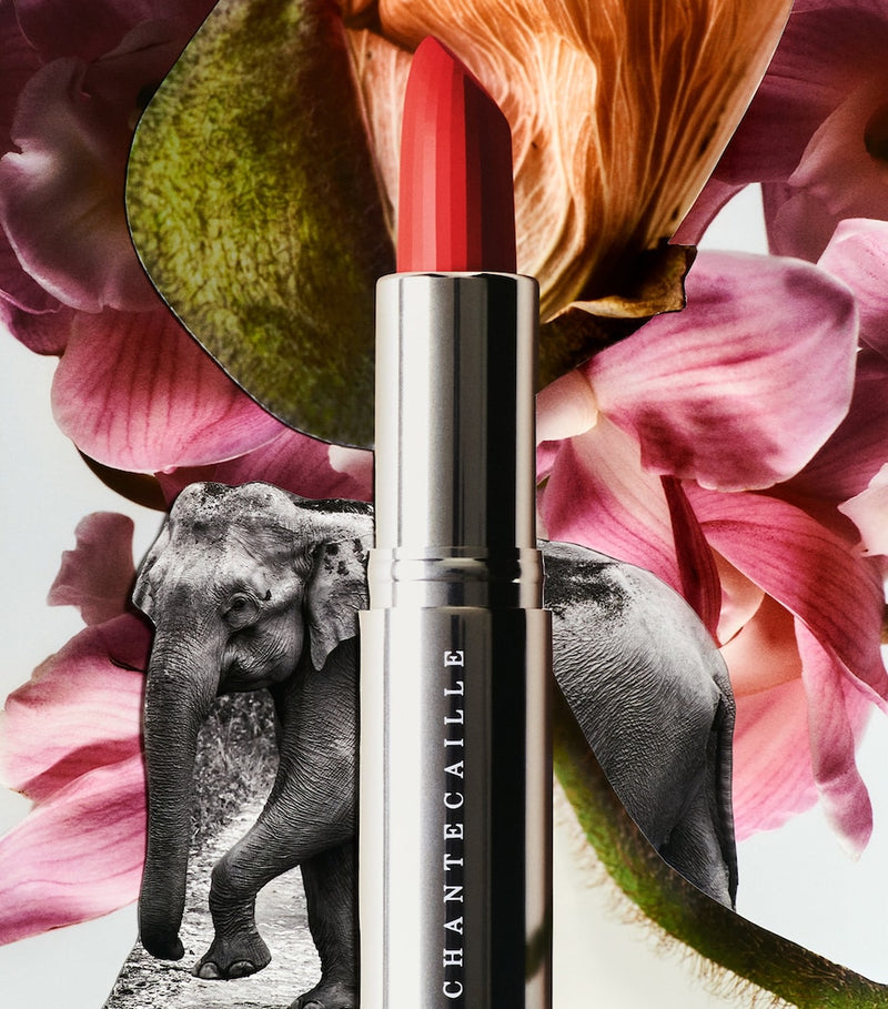 Chantecaille Lip Crème lipstick - British product