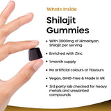 New Leaf Shilajit Gummies with Zinc B6 - British product