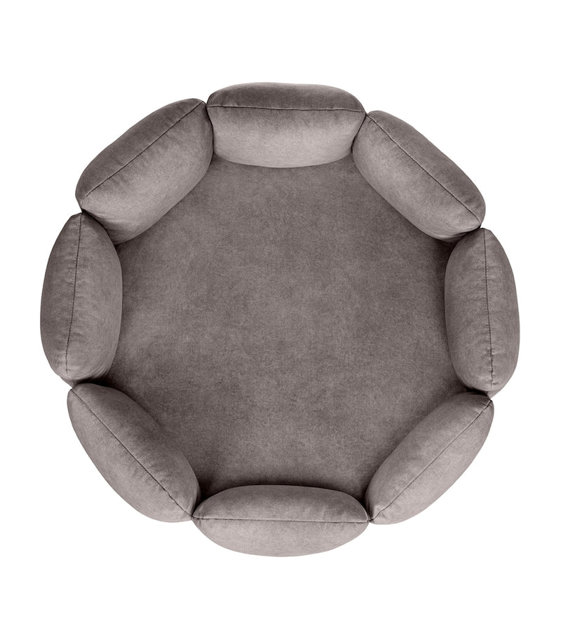 Looty Camelia medium pet bed, UK version