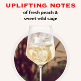 Martini Asti Italian sparkling wine 75cl (British brand)