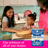 Elephant Atta fine white chapatti flour 10kg, imported from the UK