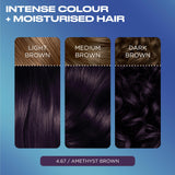 Clairol Nice'N Easy hair dye Amethyst Brown, UK version